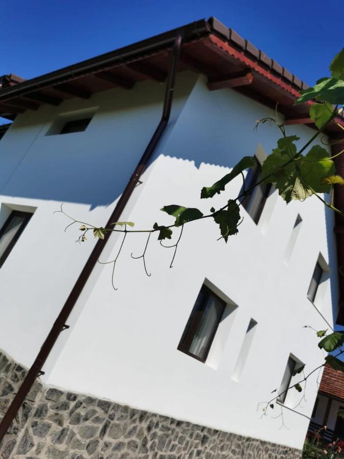 Pensiunea Alina Baia de Fier Εξωτερικό φωτογραφία